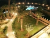 les-debuts-des-jardins